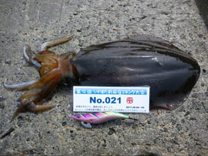 �މʉ摜