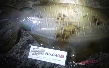 �މʉ摜