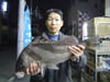 釣果写真コーナー