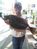 ひらめ釣果